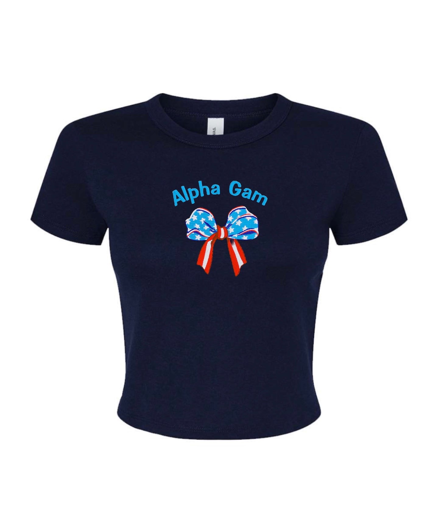 Embroidered Sorority American Bow Crop Top