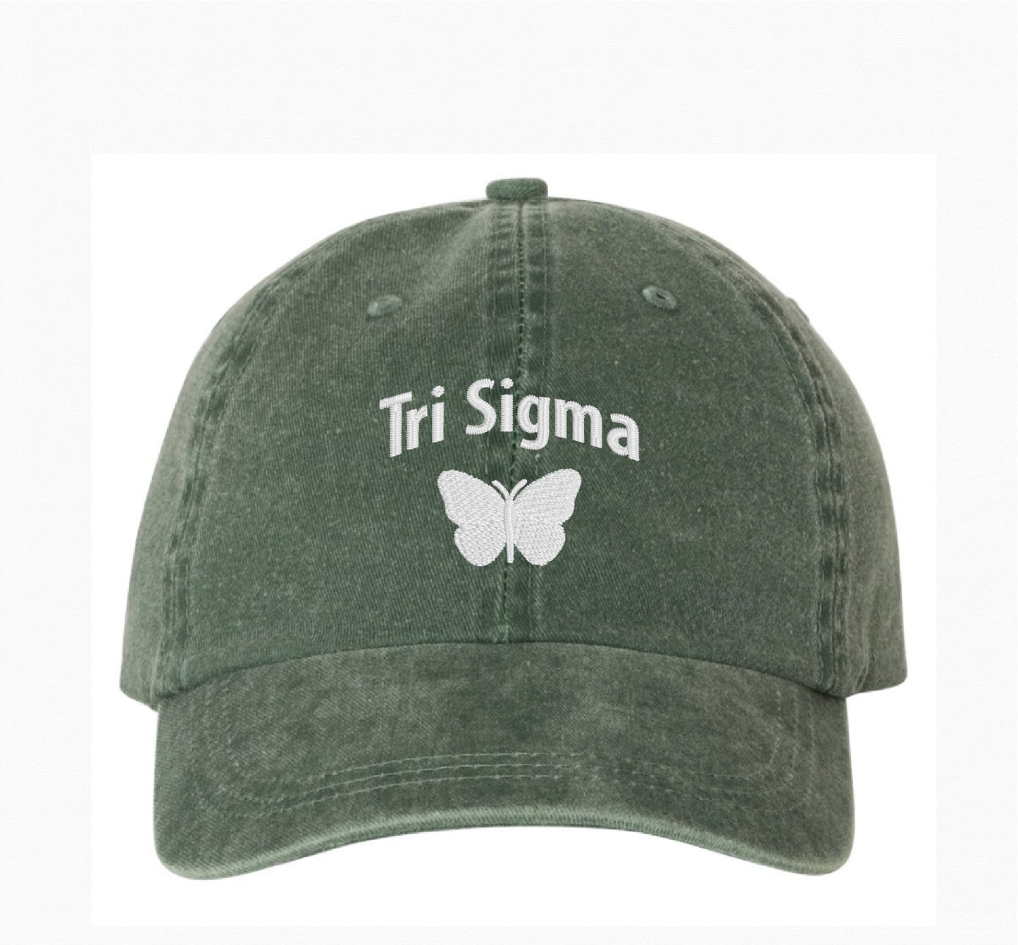 Butterfly Embroidered Hat